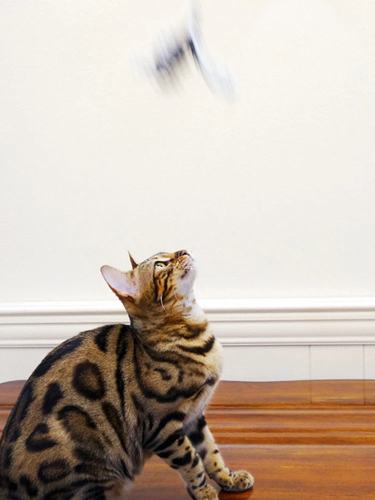 PurrPlay Wand