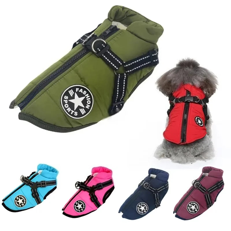 WarmPaw Coat
