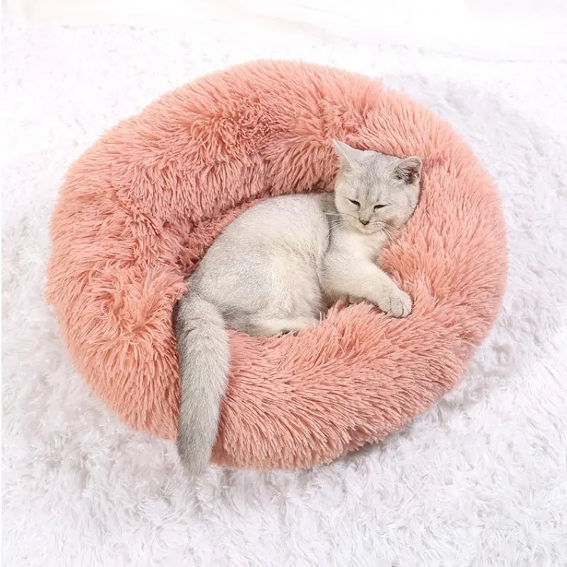CloudPaw Bed
