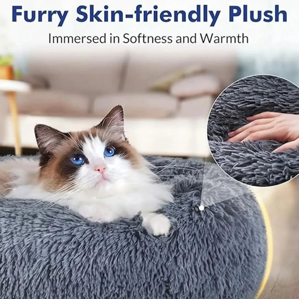 CloudPaw Bed
