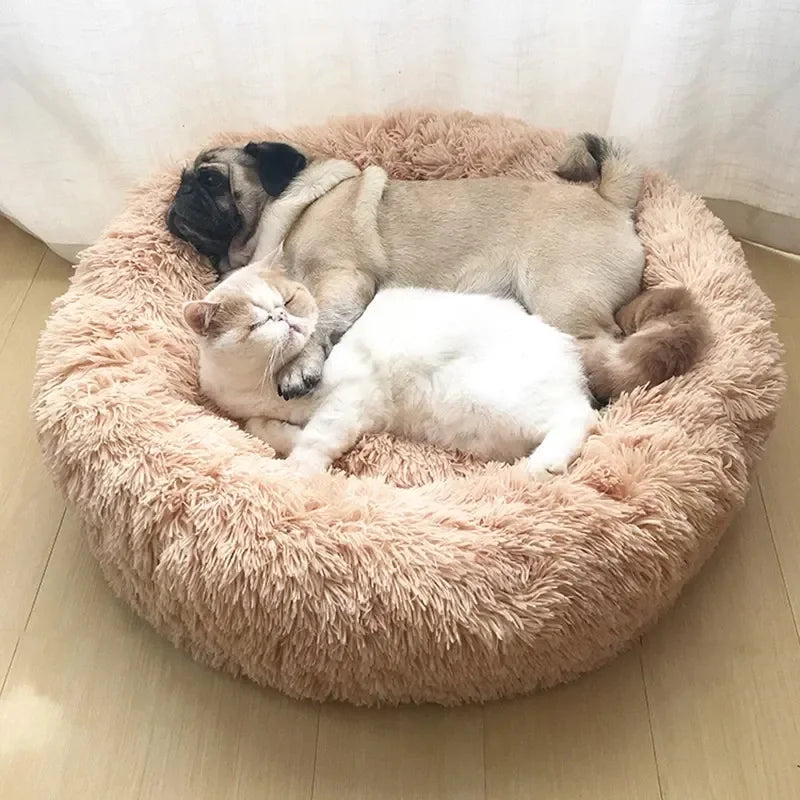 CloudPaw Bed