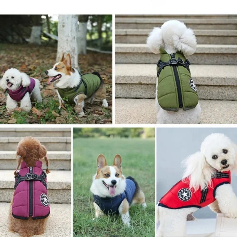 WarmPaw Coat