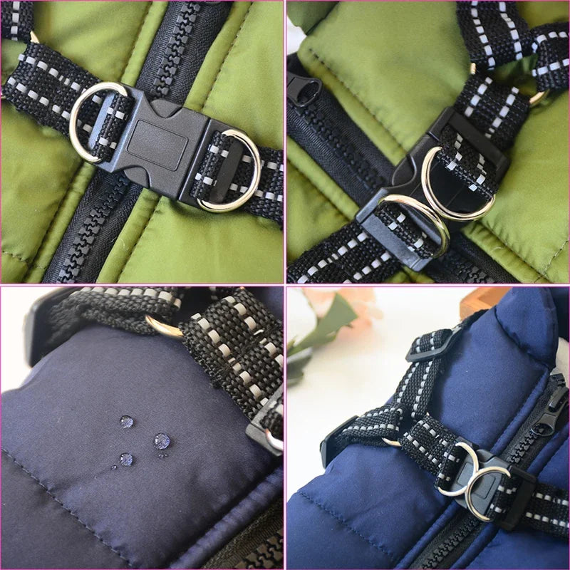 WarmPaw Coat