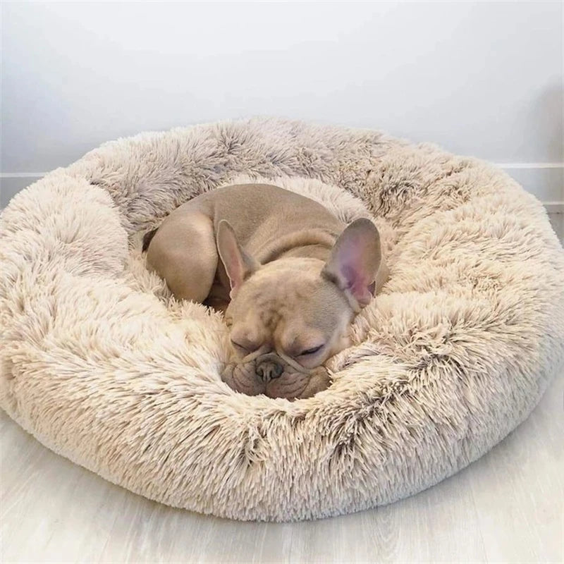CloudPaw Bed
