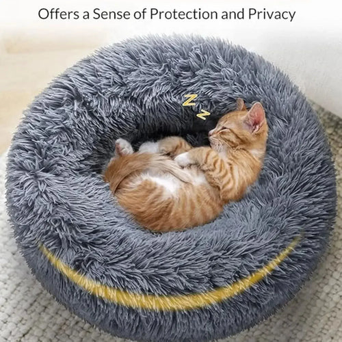 CloudPaw Bed